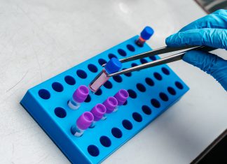 Paging Dr. Frankenstein: Your Brain is Ready regenerate brain cells