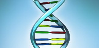 New Discovery Sheds Light on a Genetic Origin dna