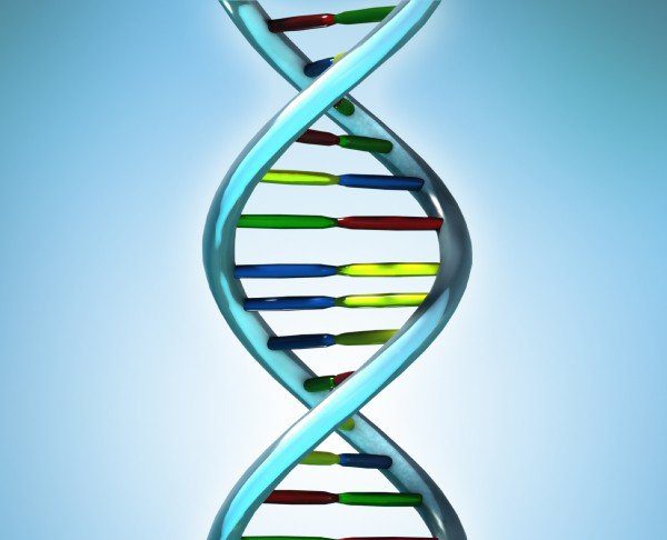 New Discovery Sheds Light on a Genetic Origin dna