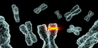 Health Informatics + Big Data Unlock the Human Genetic Code genes