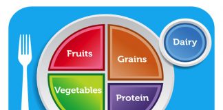 Government Shifts The Food Pyramid to “Choose My Plate” Campaign choose my plate