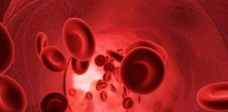 New Stem Cell Therapy – Growing Human Blood Vessels for Bioengineered Tissue creating blood vessels
