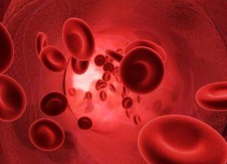 New Stem Cell Therapy – Growing Human Blood Vessels for Bioengineered Tissue creating blood vessels