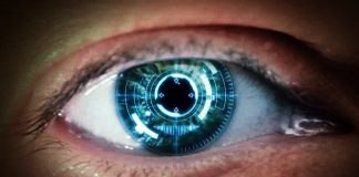 How can Biotechnology Help us Understand our Bodies? Biotechnology