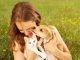 5 Health Benefits of Pets (Plus: What’s Your Spirit Animal?) Animal Interaction
