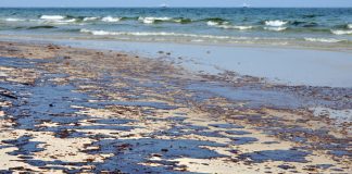 NIH Study: Deepwater Horizon Oil Spill Dispersants Caused Health Problems Oil Spill Dispersants